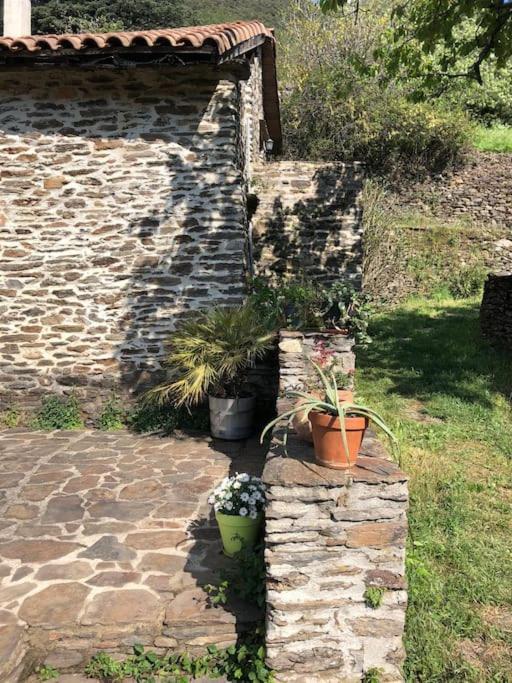 Maison Rurale Au Coeur Des Cevennes Ardechoises Dompnac Екстериор снимка