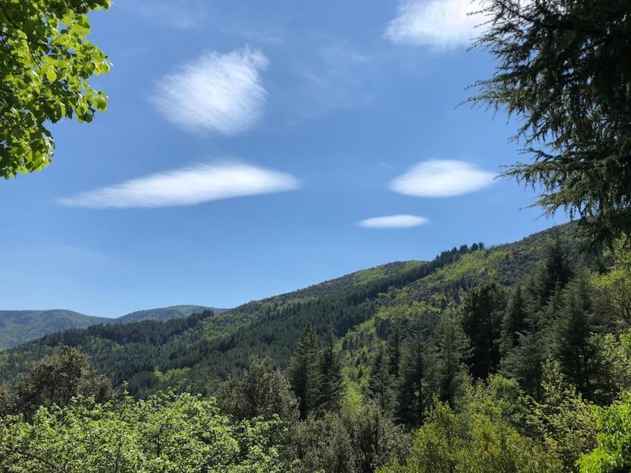 Maison Rurale Au Coeur Des Cevennes Ardechoises Dompnac Екстериор снимка